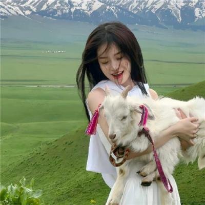 没见过的毕加索 海报